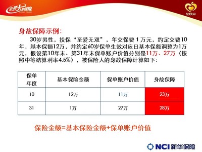 新华保险至爱无双终身寿险